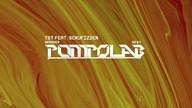 TS7 - Skanker (feat.  Scrufizzer)