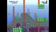 Mario Forever Unknown Area TororoTchi