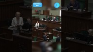 CZARZASTY STRASZY POSŁÓW CHODZENIEM NA SMYCZY #shorts