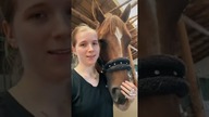 Testujemy nowości z Equus Care part 1 