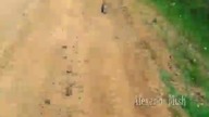 Ludzie pomagają zwierzętom