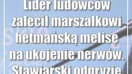 Lider ludowców zalecił marszałkowi hetmańską melisę na ukojenie nerwów.  Stawiar...