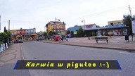 Karwia