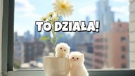 Ta prosta lista na sobotę działa lepiej niż myślisz 