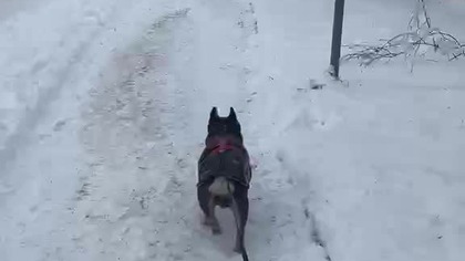 Spacerek po wiejskich drogach.