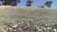 D. o. m. e. k Na P. r. e. r. i. i S02E13 - Chluba Walnut Grove