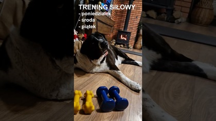 Trening siłowy czy cardio? 