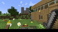minecraft video