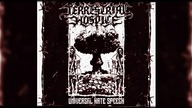 TERRESTRIAL HOSPICE ~ Celebrate (the Last Days of Sunshine)