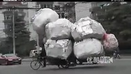 Mistrz transportu