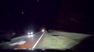 O krok od tragedii.  Jak laweciarz wyprzedzał tira na ciągłej