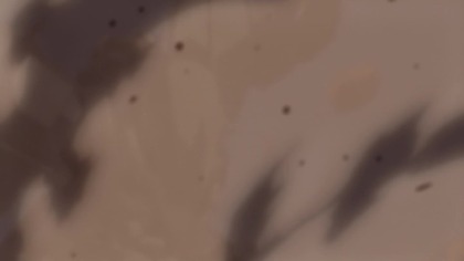 [Naoki-Raws]  Ep. 02  (Bdrip X264 Dts-Hdma Chap)
