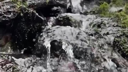 Bieszczadzkie potoki .... :) #bieszczady #wbieszczady #biesy #wbiesy #biesy #bieszczadzkipotok