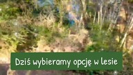 CO DOBREGO WYDARZY SIĘ W TWOIM ŻYCIU W PRZECIĄGU 2 TYGODNI? #tarot #rozkład #wybierzkartę #magic