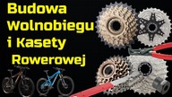 Budowa wolnobiegu i kasety rowerowej  jak to działa