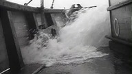 Gang Szetlandzki 1954 napisy pl