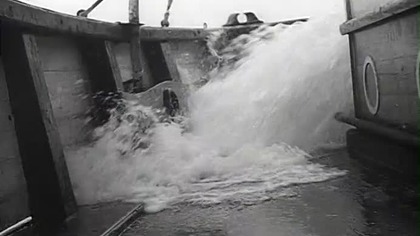 Gang Szetlandzki 1954 napisy pl