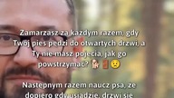 Jak nauczyć psa grzecznego wchodzenia za drzwi?  #SzkoleniePsów #NaukaZachowań #PsieTriki