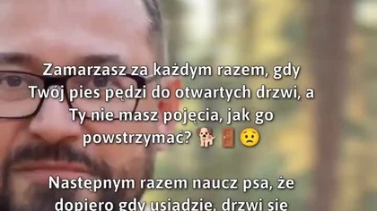 Jak nauczyć psa grzecznego wchodzenia za drzwi?  #SzkoleniePsów #NaukaZachowań #PsieTriki