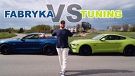 MUSTANG GT *CO ZMIENIŁEM I ILE ZAPŁACIŁEM*