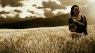 Trailer 300