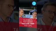 TAJEMNICZY PAŃSTWOWY TRUCICIEL ODRY pod lupą Szczerby i Jońskiego #shorts