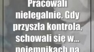 Pracowali nielegalnie.  Gdy przyszła kontrola, schowali się w...  pojemnikach na mięso