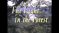 Światło w lesie - The Light in the Forest 1958 [480p. WEB-DL. H265. AC3. 5. 1-NoNaNo-NitroTeam] [Nap