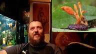 2228.  Zdrowa Kawa? I To Jeszcze Jak! Sprawdź!