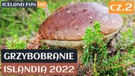 Grzybobranie Islandia 2022 cz.  2 | Iceland fun #10