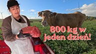 Sprzedają 800kg mięsa w jeden dzień / Oddaszfartucha