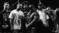 Roots -The Seed