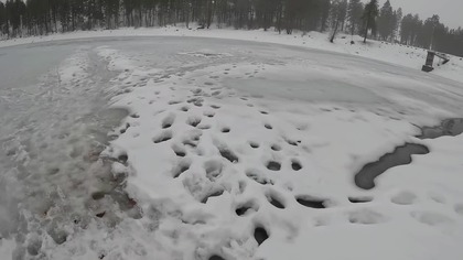 Wędkarstwo podlodowe