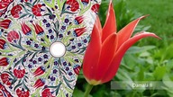 Umywalki tureckie Iznik [inspiracje]
