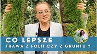 Zakładanie trawnika z rolki