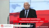 Jarosław Kaczyński zapowiada zakaz hodowli zwierząt futerkowych