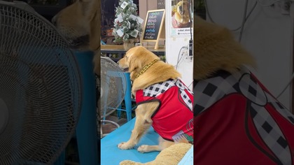 GDY DOPADNIE CIĘ UPAŁ W TAJLANDII 