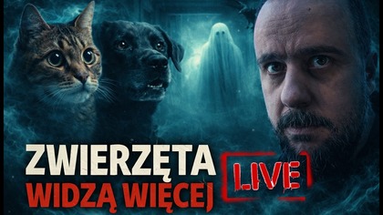 ZWIERZĘTA WIDZĄ WIĘCEJ?! PARANORMALNY INSTYNKT  [ NA ŻYWO ]
