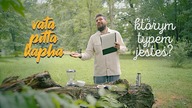 Jaką herbatę powinieneś pić? Test DOSHA | Czajnikowy.pl