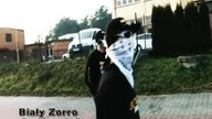 Biały Zorromój moto