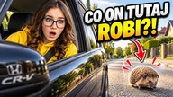 PRAWIE PRZEJECHALIŚMY JEŻA NA ŚRODKU ULICY  Wracam na trening po upadku z konia  Daily Vlog 30. 09