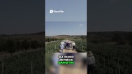 Jak szybko znaleźć dziewczynę?