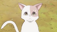5 The Cat and the Dragon [SubsPlease] Neko to Ryuu - 05 (1080p) [E270CDF0]