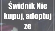 Świdnik: Nie kupuj, adoptuj ze Stowarzyszenia