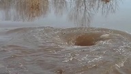 Ten wir pożera wszystko