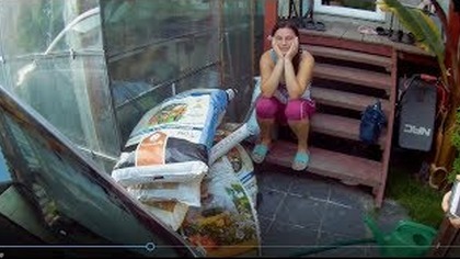 Odc-743-Na luzie,ziemia,sflaczała brugmansja,dodatkowe ogrzewanie w szklarni na zime,kolejne banany