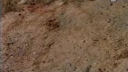 Bonanza-Pod Obstrzałem - 1995 - Western Lektor pl western