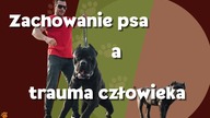 Zachowanie psa - trauma u człowieka