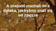 Pamiętacie jesień z dawnych czasów?