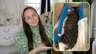 KAMIENIE W PECHERZU MOCZOWYM I JEGO ZAPALENIE U KOTA - PRAWIE SKONCZYŁO SIE SMIERCIA